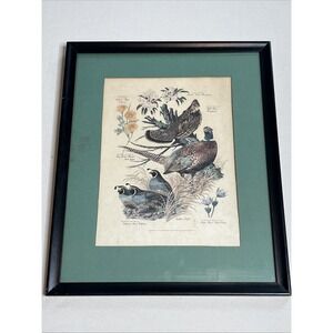 Vintage Pheasant Lithograph Framed Print By Arthur Singer Number 3 Of Series